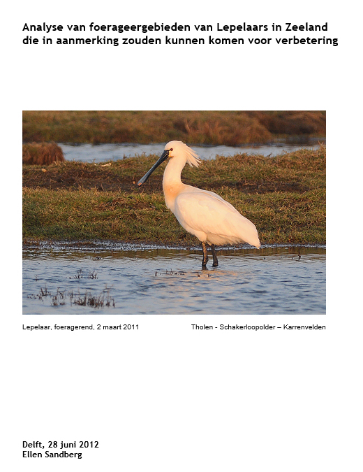 Analyse foerageergebieden Zeeland 2012