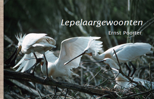 Lepelaargewoonten 2018