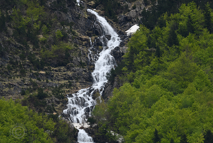Spanje