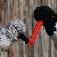 Gebreide Vogels
